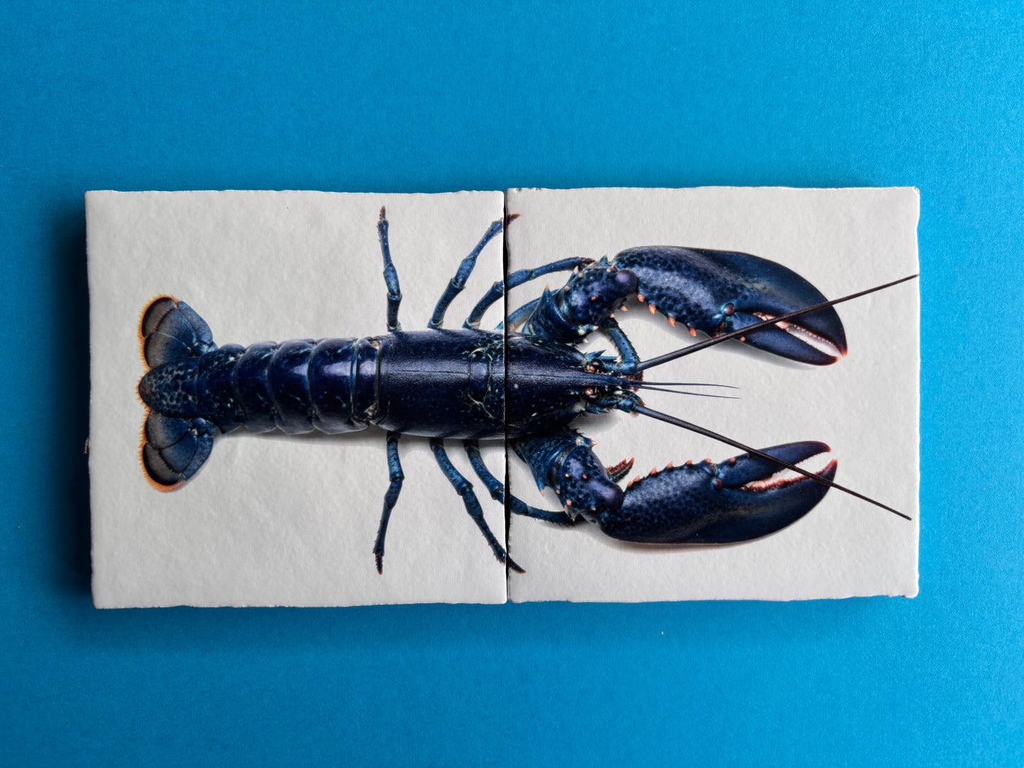 Tegel Tweeluik Oosterschelde Kreeft | Luxe Seafood Wanddecoratie voor in de keuken