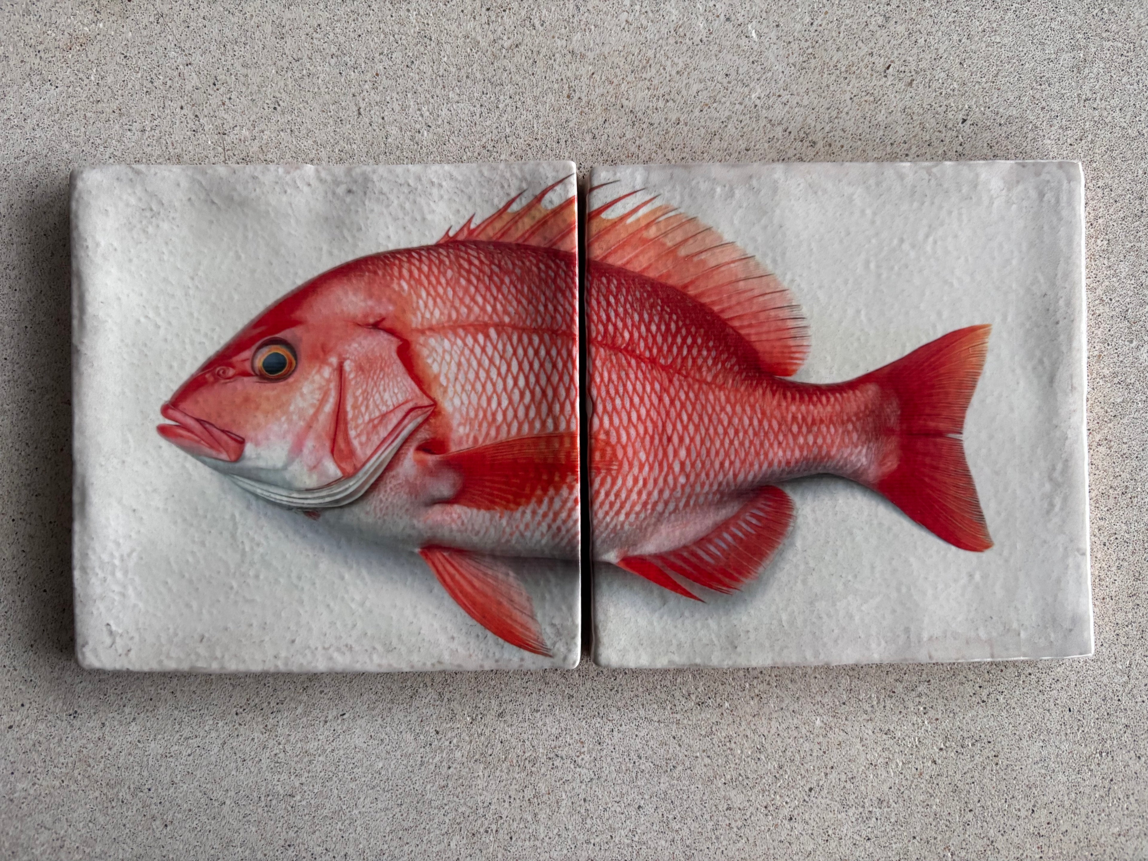 Tegels Red Snapper