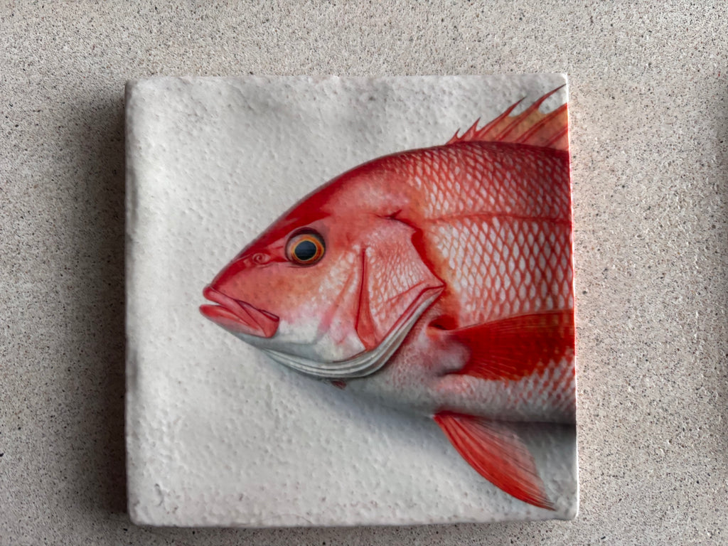 Tegels Red Snapper