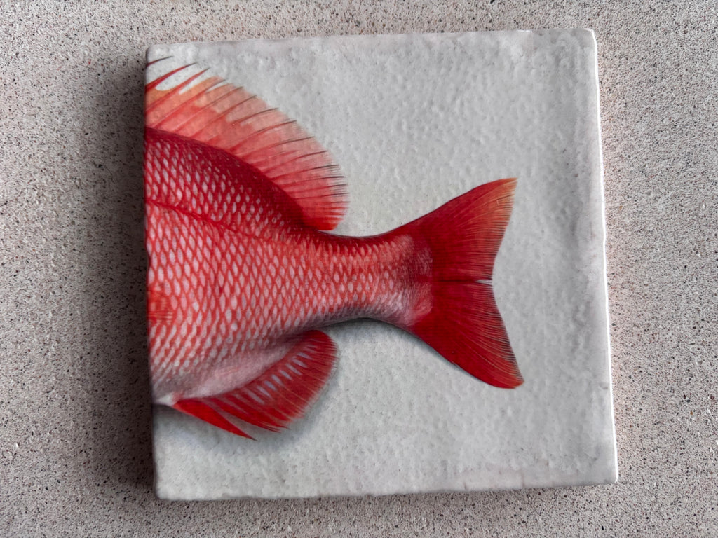 Tegels Red Snapper