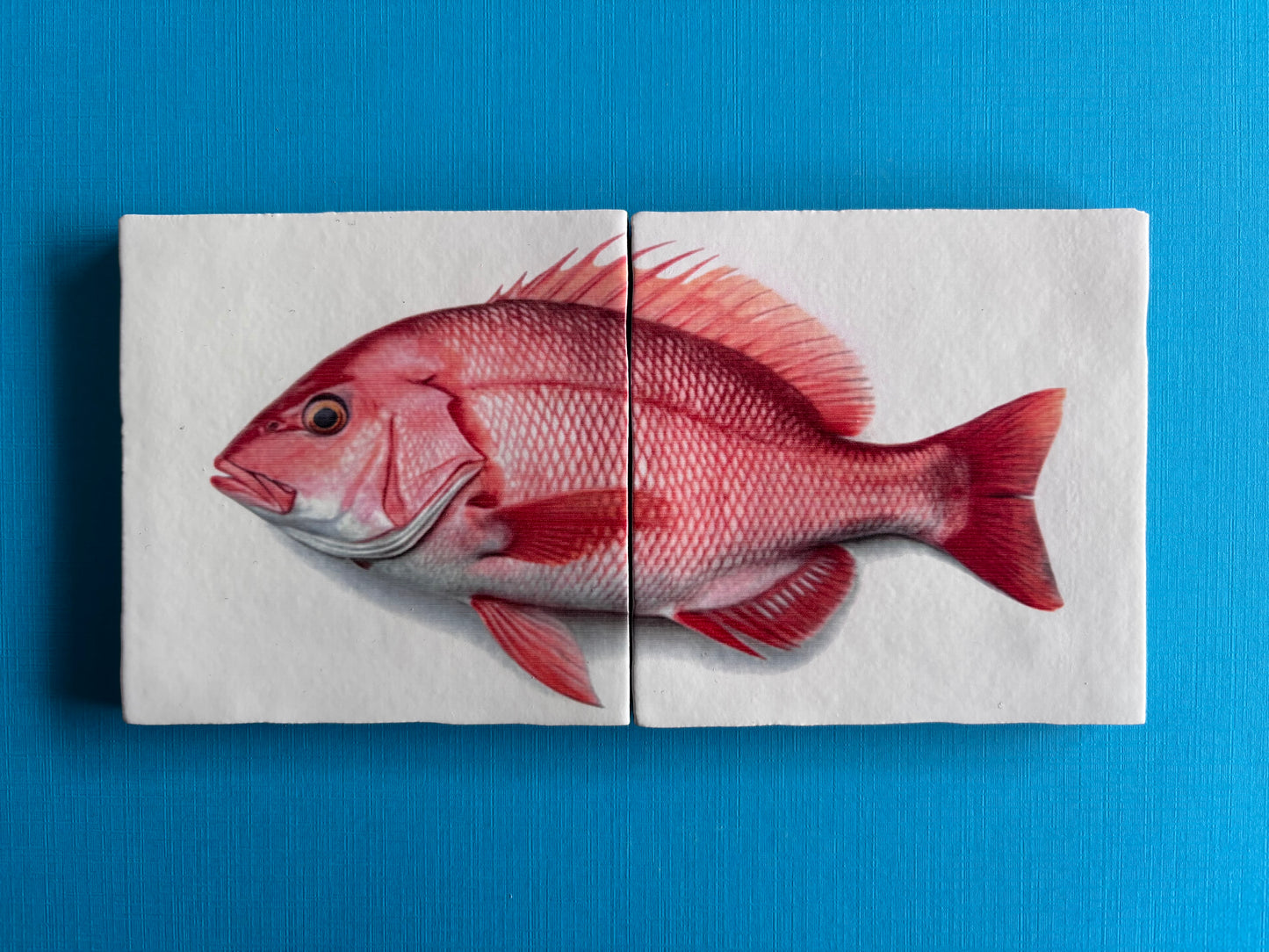 Tegel Tweeluik Red Snapper
