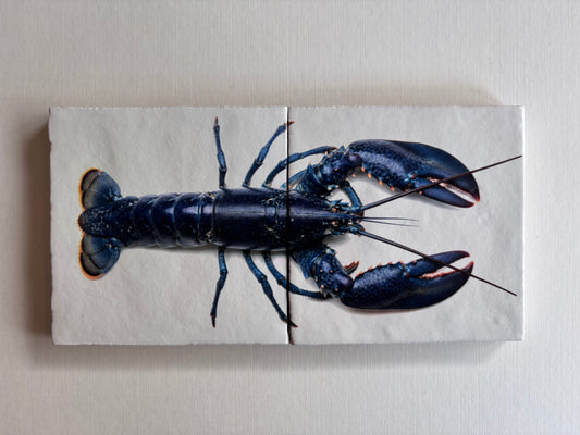 Tegel Tweeluik Oosterschelde Kreeft | Luxe Seafood Wanddecoratie voor in de keuken