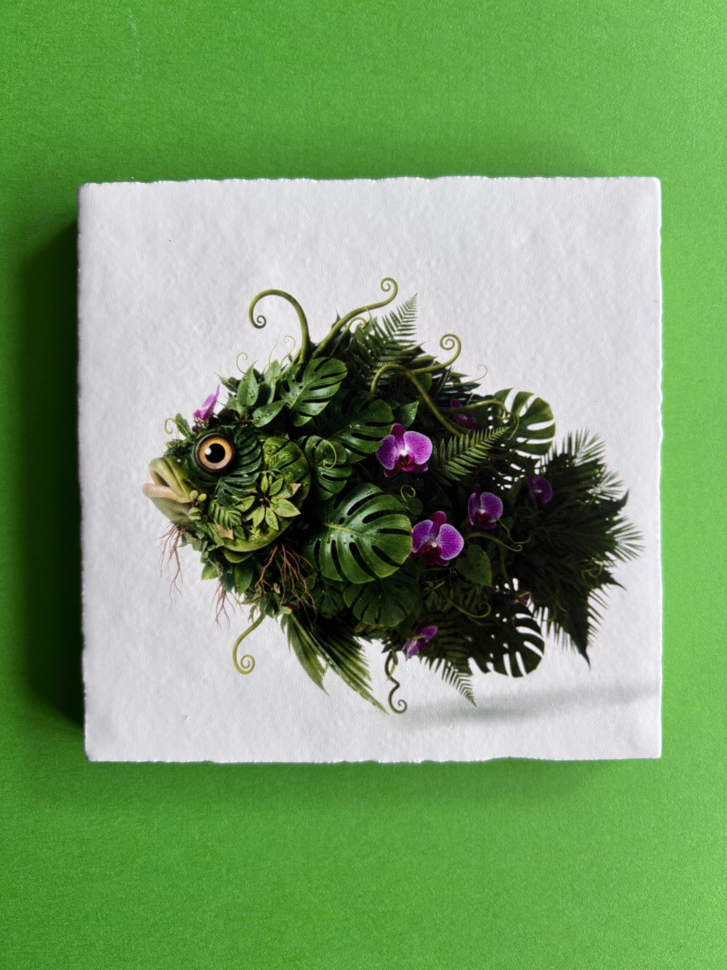 Jungle Fisch Orchid