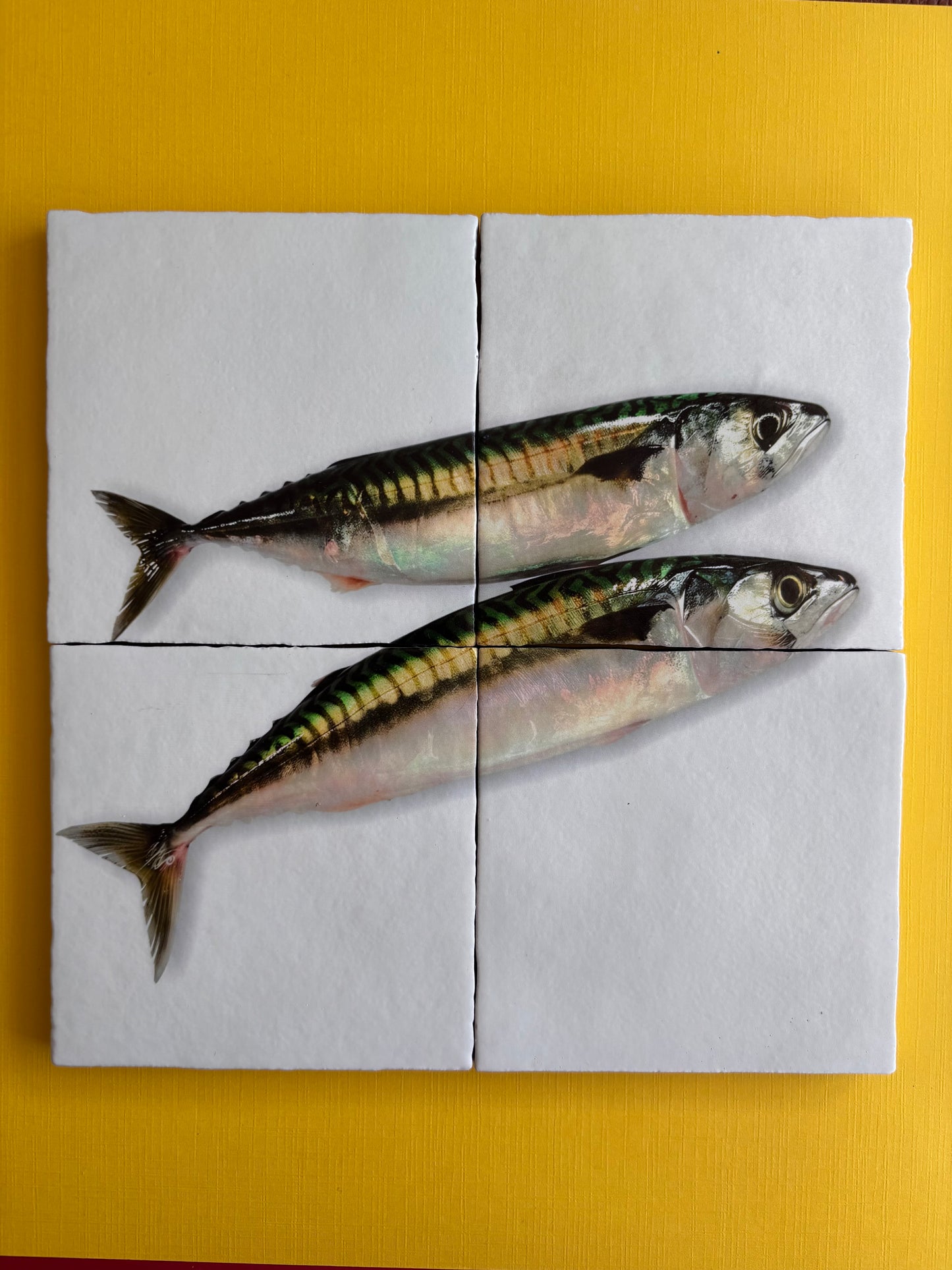 Tegel Vierluik Makreel / Mackerel