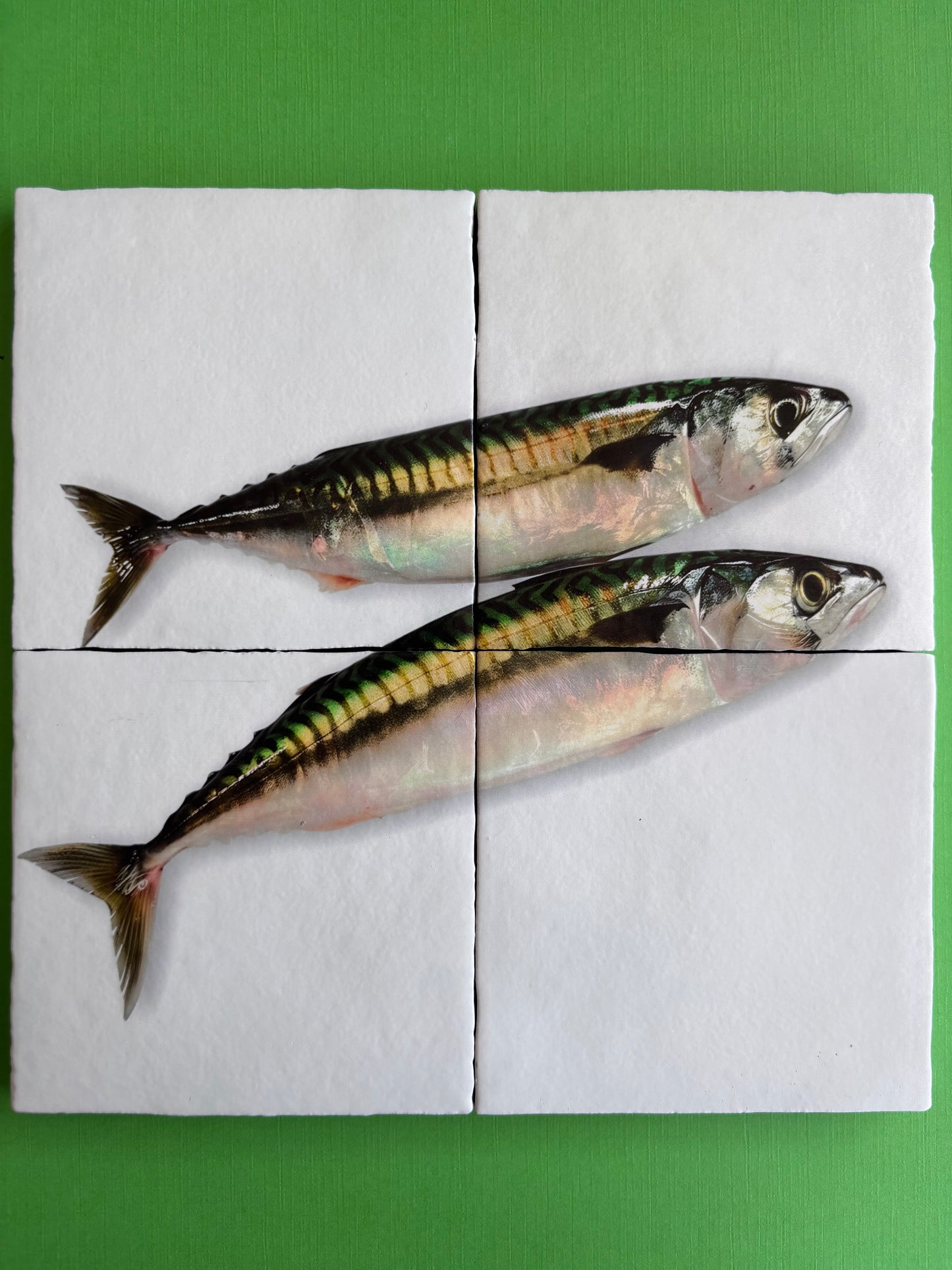 Tegel Vierluik Makreel / Mackerel