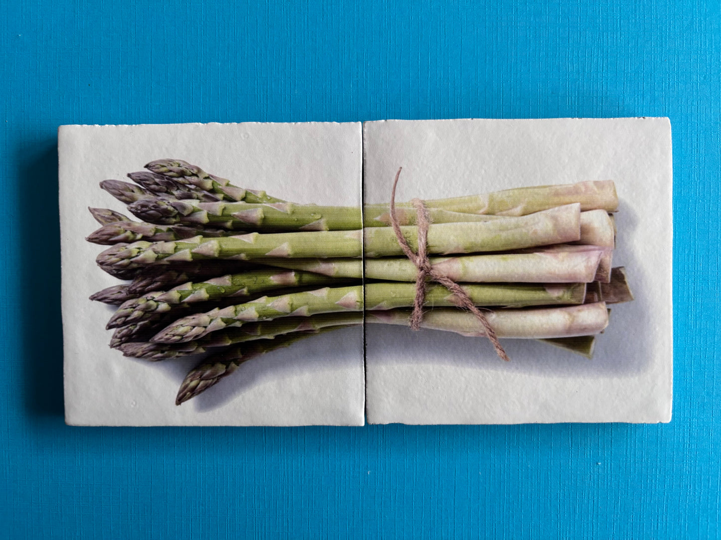 tegel Tweeluik Asperge keuken horeca blauw minikunstbieb