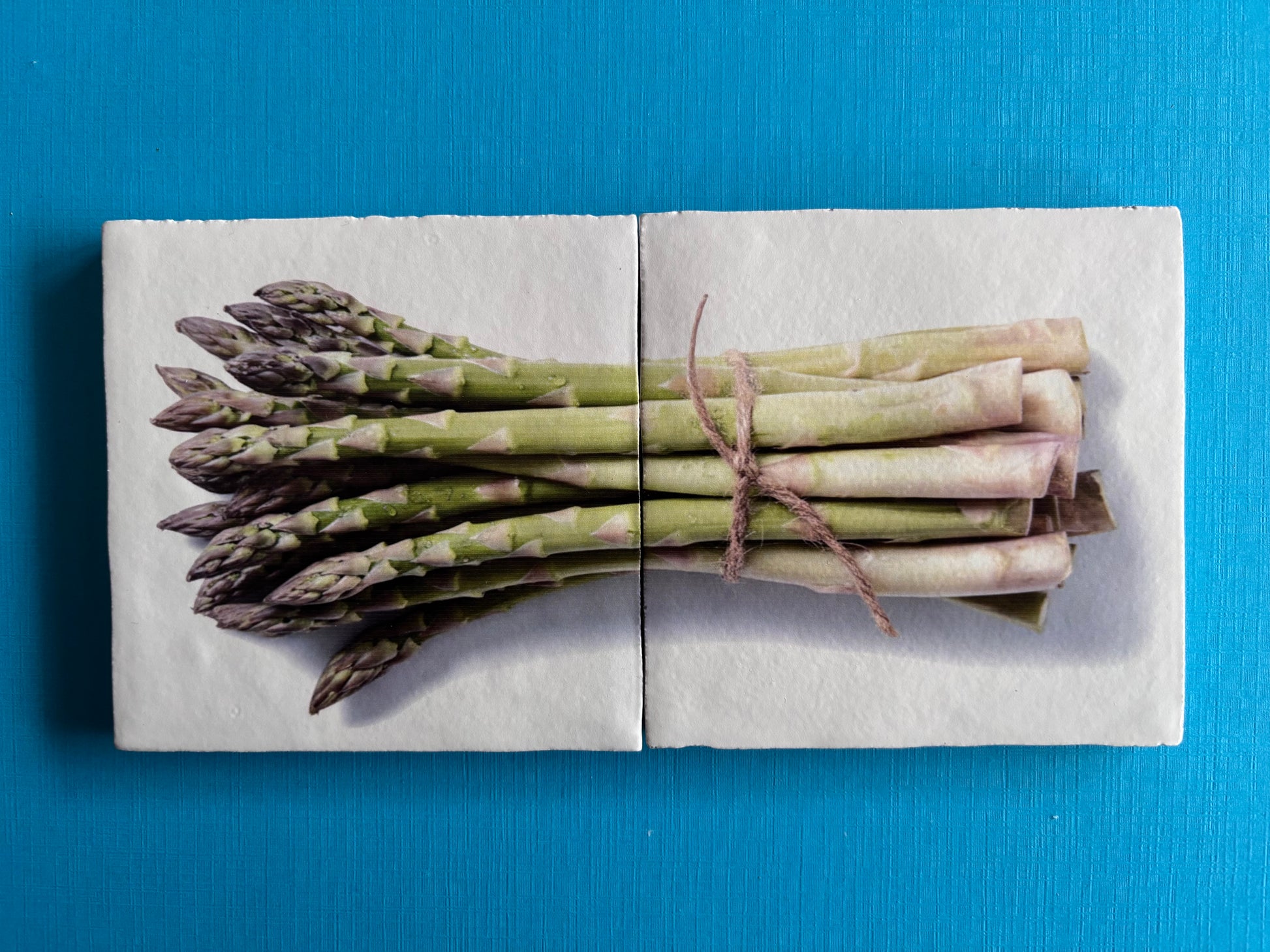 tegel Tweeluik Asperge keuken horeca blauw minikunstbieb